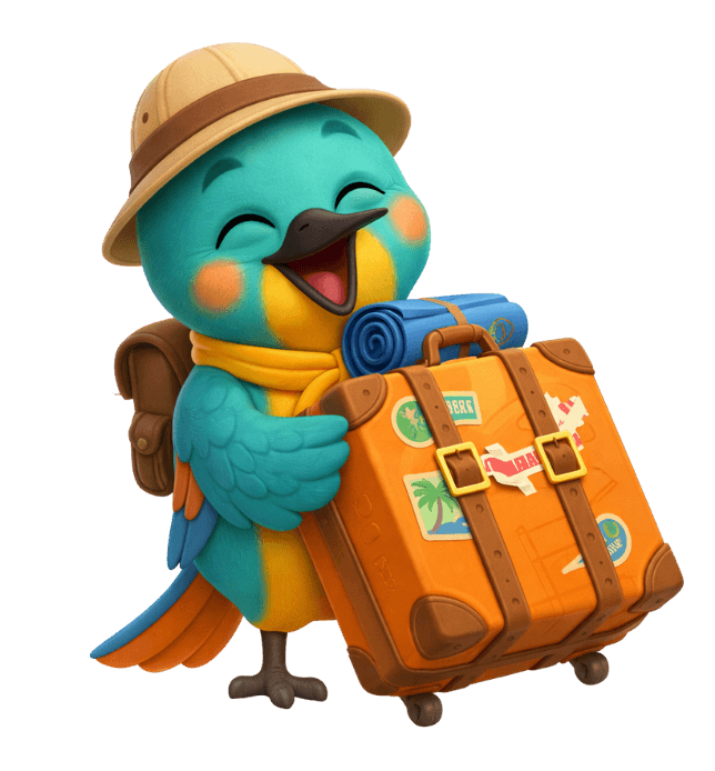 Coli exploring Mexico